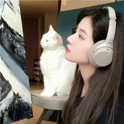 天灵盖